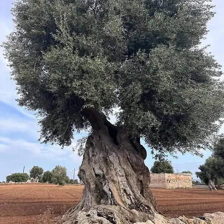 Apartamento Tuomà